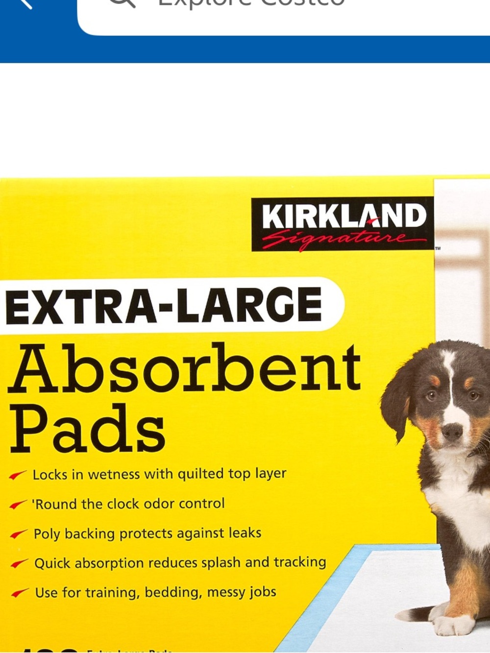 50 pcs XL Absorbent Pads